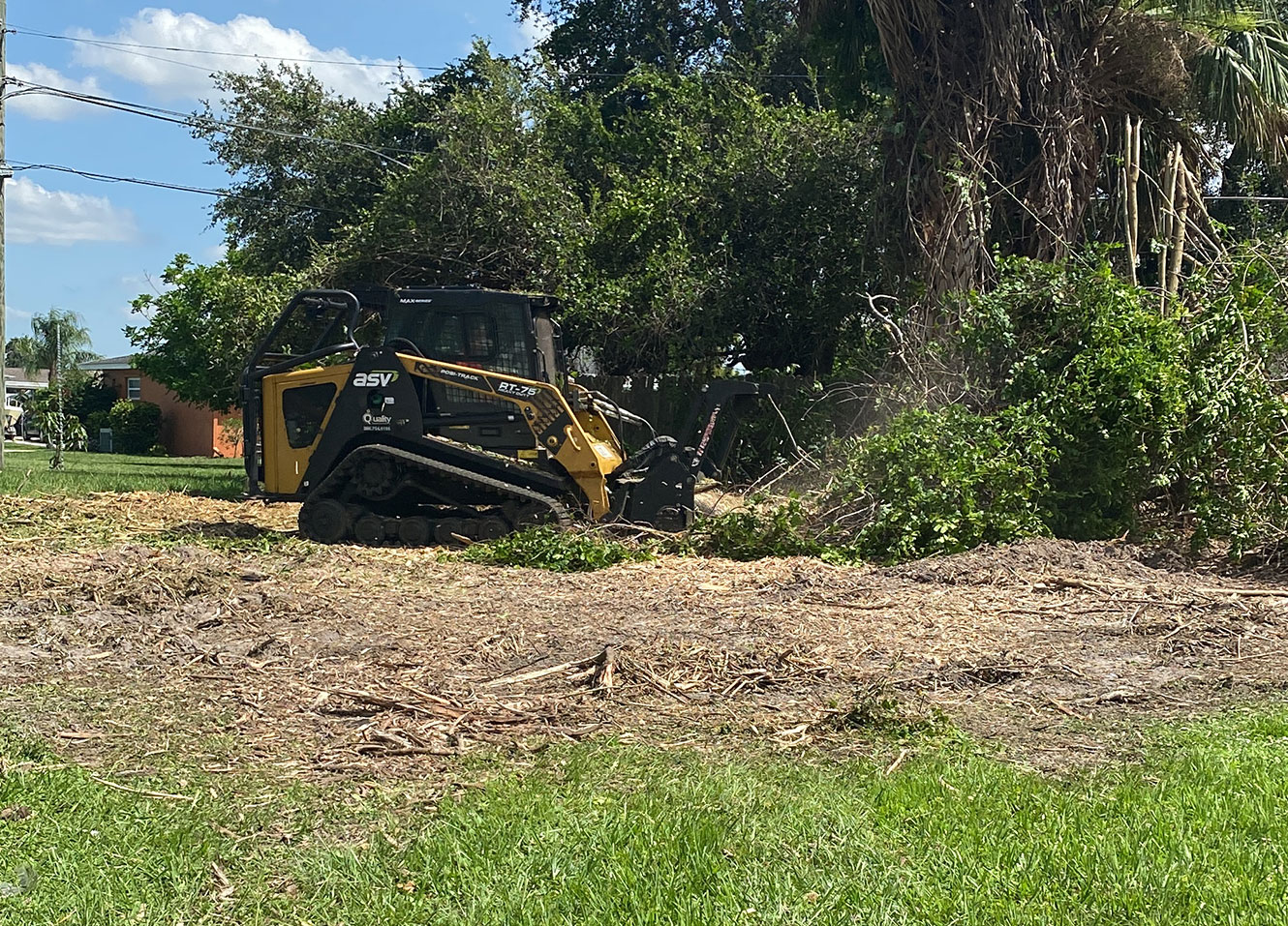 Brush Mowing & Lot Clearing Coastal Mowing & Tree