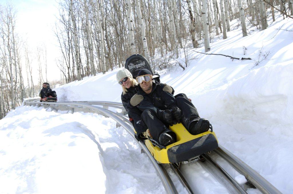 All About Alpine Coasters Coaster101