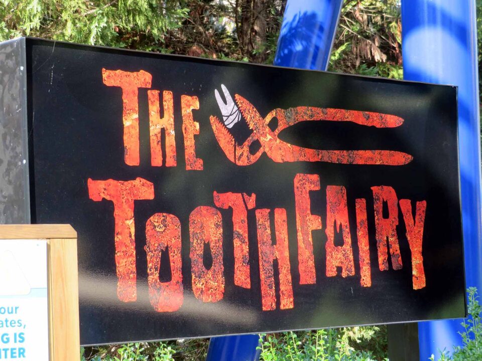 Behind The Screams Of Scarowinds' Two New Mazes - Coaster101