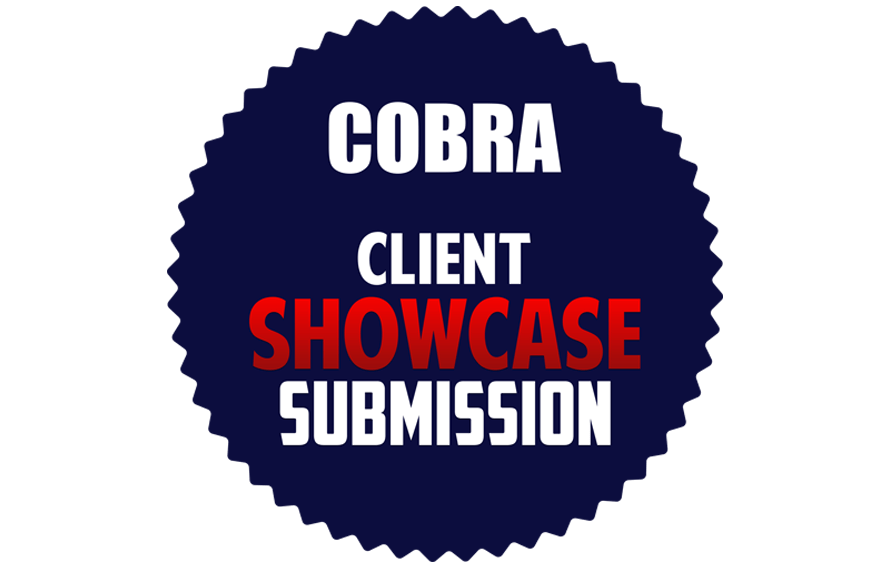 COBRA™ USA Professional Wireless Fireworks Firing System