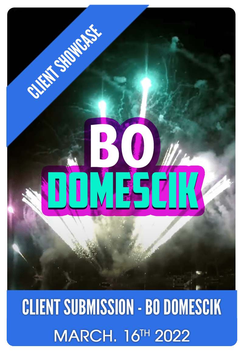 COBRA™ USA Fireworks Firing System for Consumers and Professionals