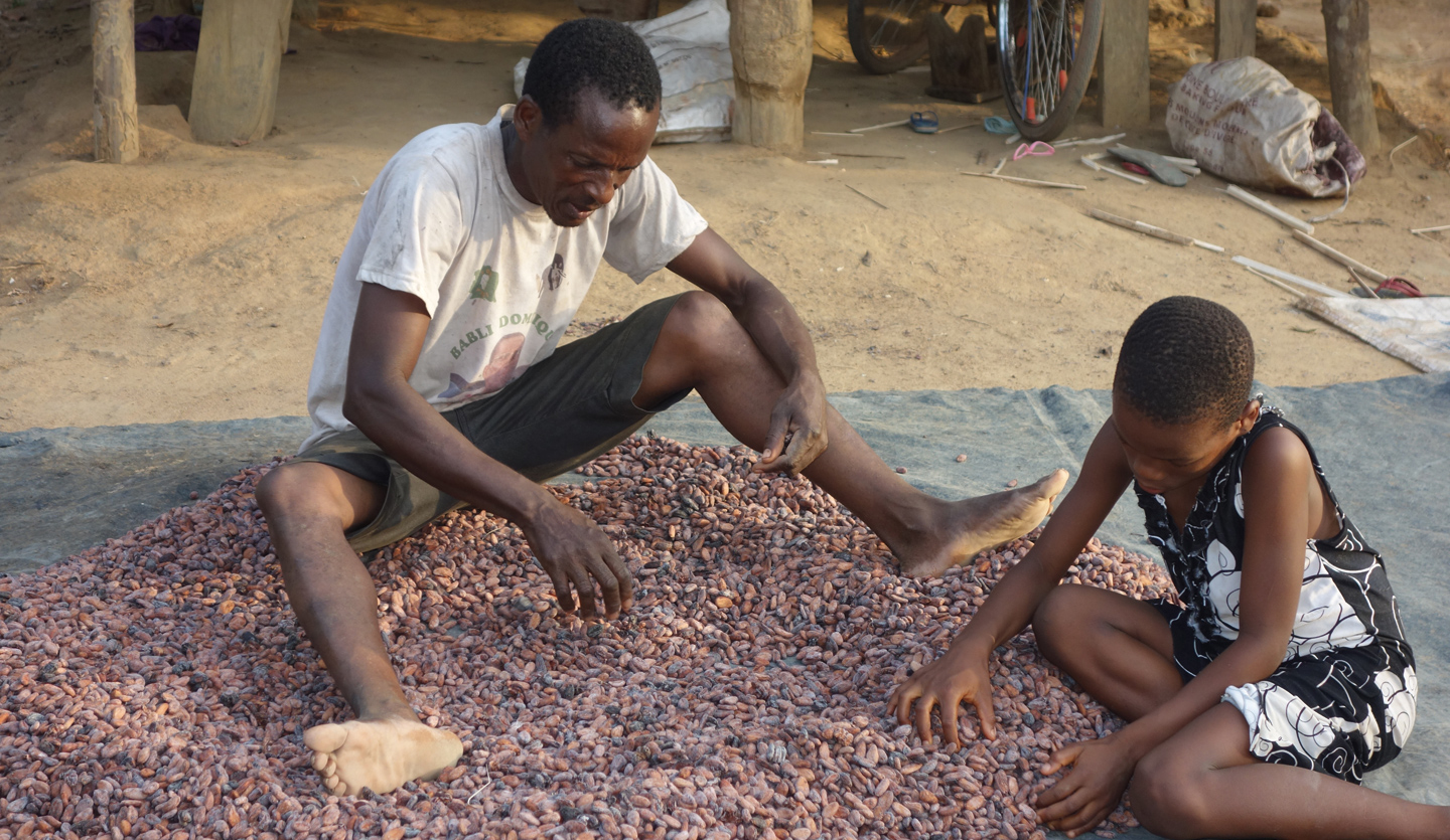 Child labour in cocoa ICI Cocoa Initiative