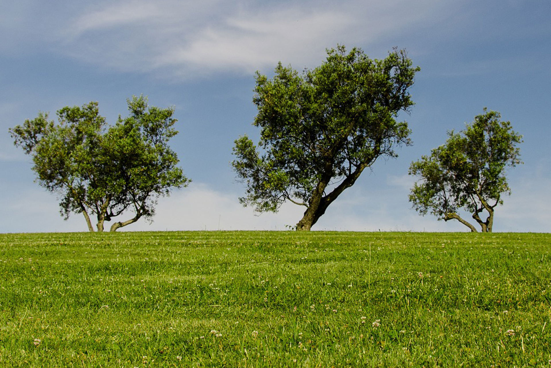 Is Tree 4 Bigger Than Tree 3 at Natalie Crass blog