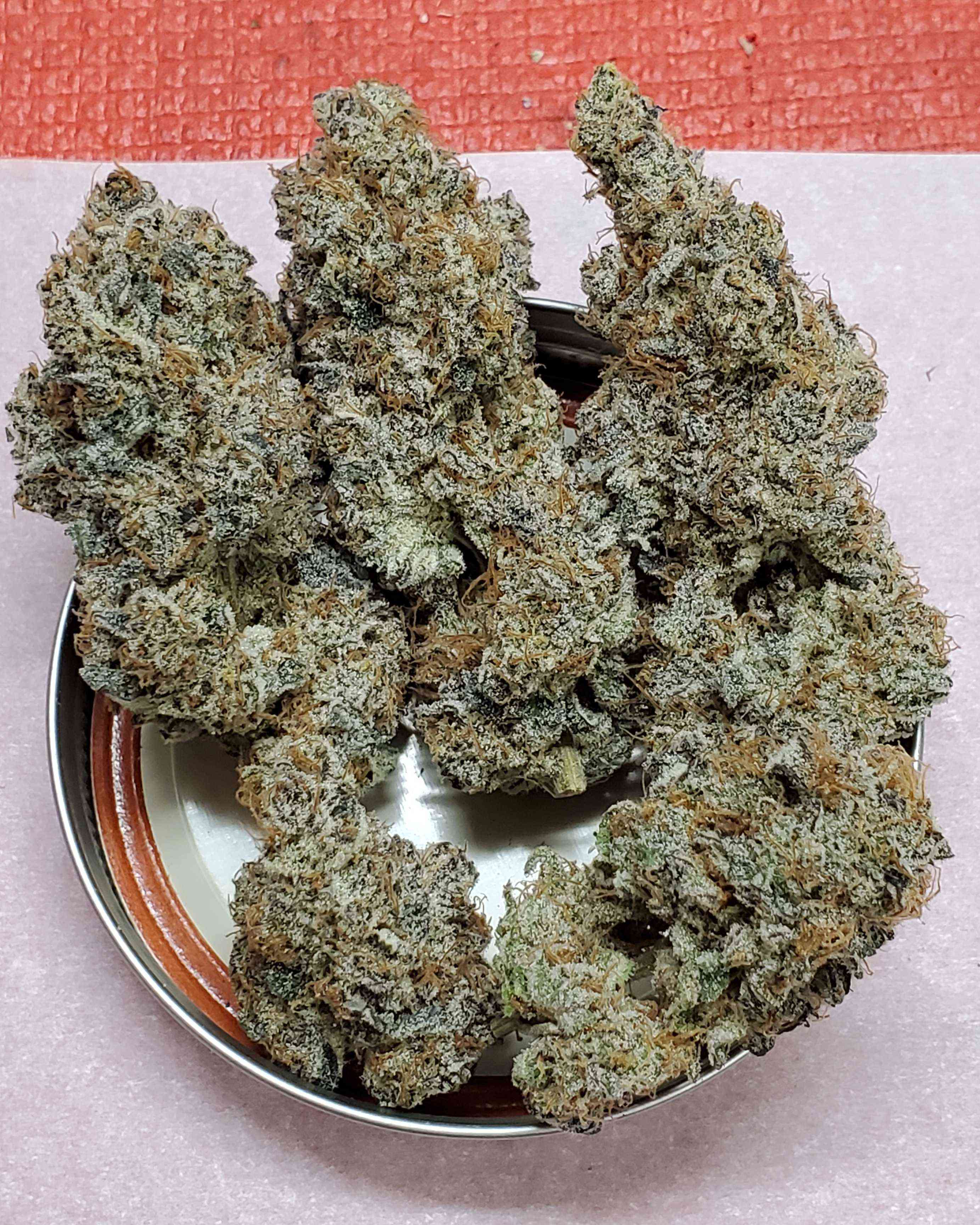 Garlic Breath 2.0 by Thug pug Cannabis Strain Reviews Coco