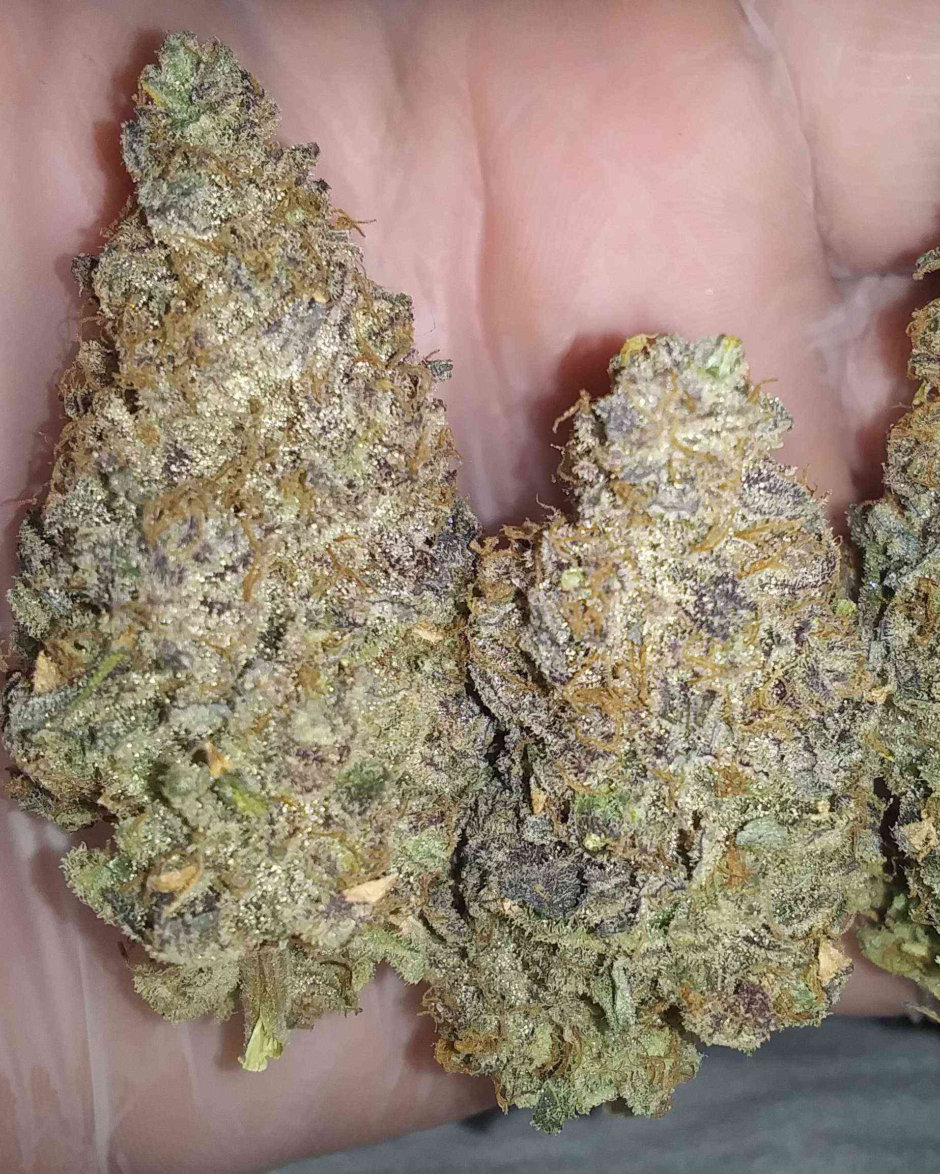 ETHOS Cookies RBx1 by ETHOS Cannabis Strain Reviews Coco For