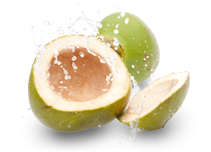 Cocogo - All Natural Coconut Water and Real Fruit Sports Drink