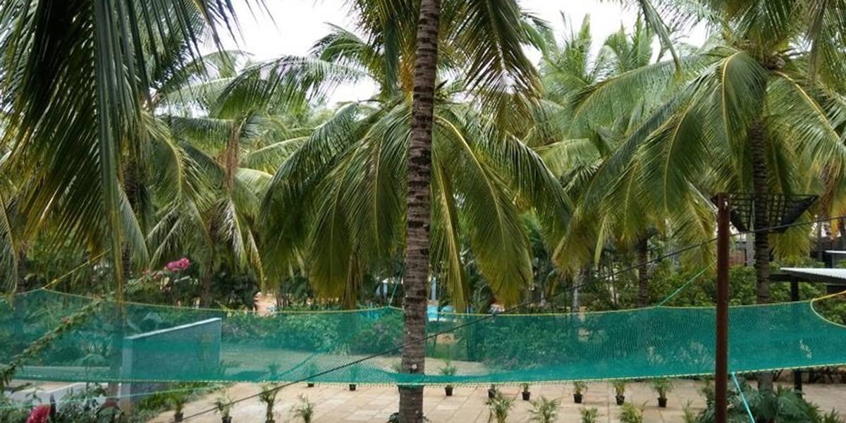 Coconut Tree & Parking Lot Safety Nets Fixing Call 7205639792