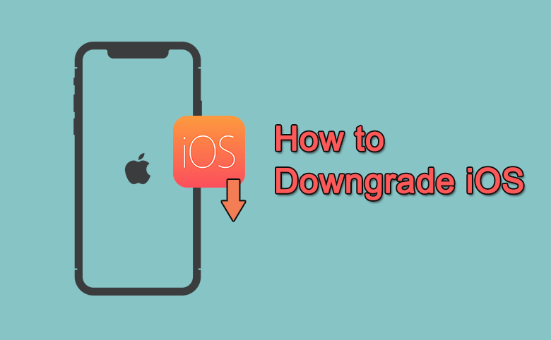 2 Working Methods to Downgrade iOS 17 beta to iOS 16