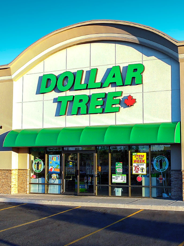 14 items to buy at Dollar Tree for Dollar 1.25 each this month CodeAvail