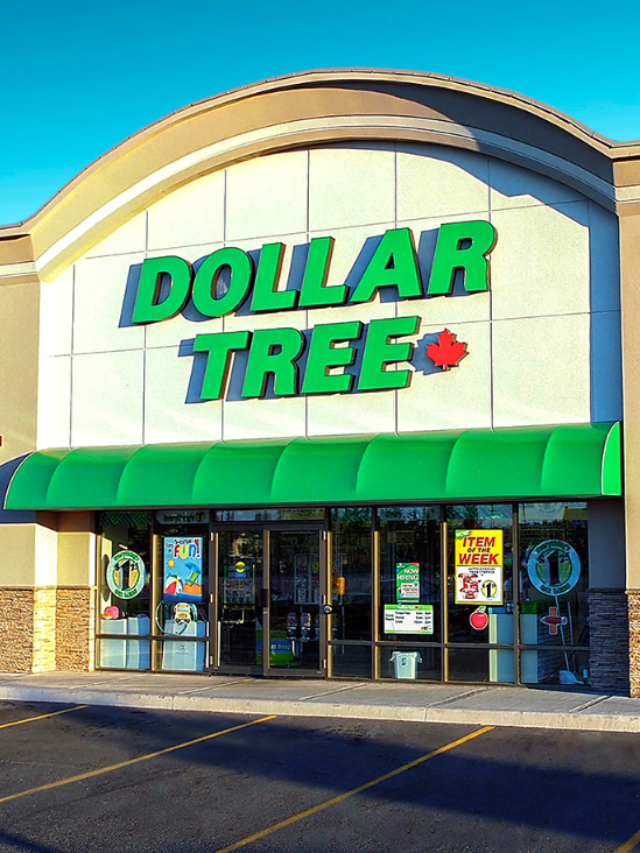 Dollar Tree 5 HighQuality Items To Buy Now CodeAvail