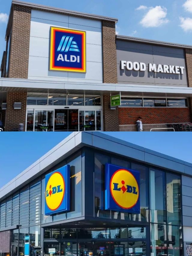 Aldi vs Lidl Which Grocery Store is Better? CodeAvail