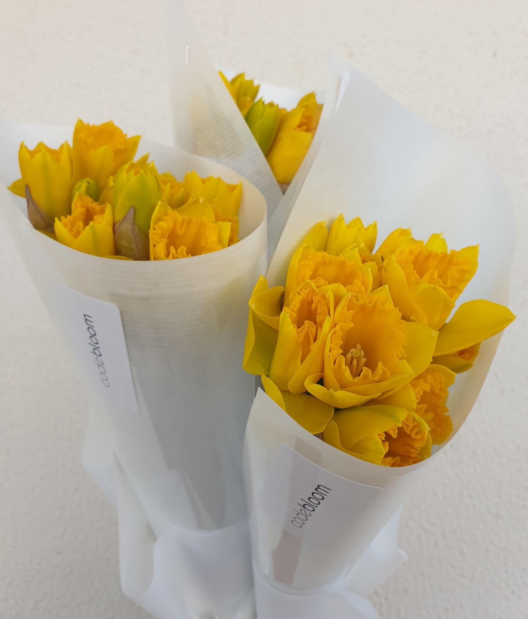 Daffodil Bouquet • Code Bloom Perth Florist, Fresh flower bouquets