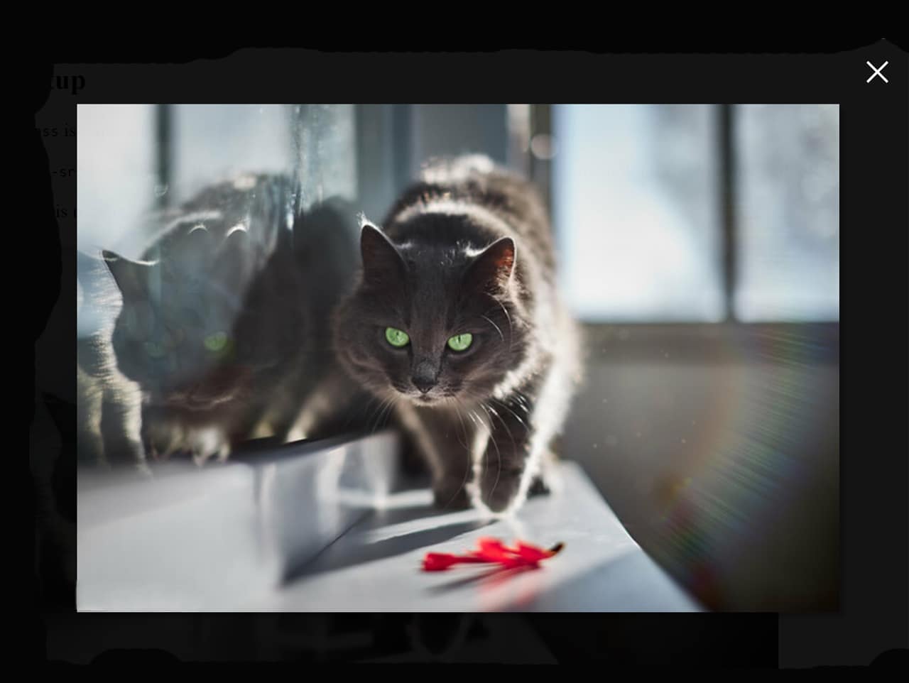 Pure JavaScript Lightbox Vanilla JS Image Lightbox — CodeHim