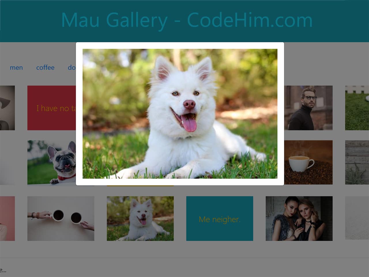 jQuery Portfolio Gallery with Categories Filter — CodeHim