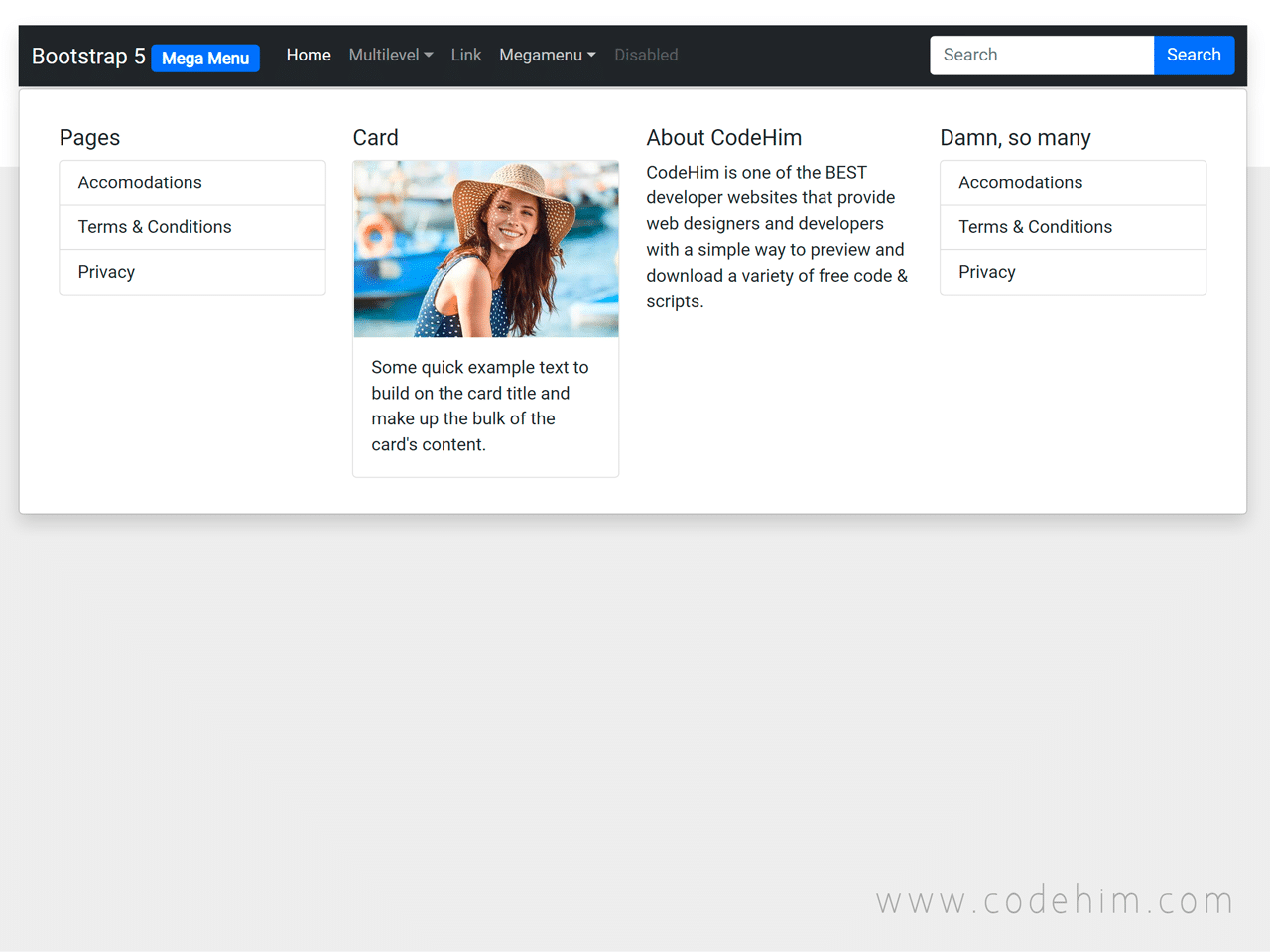 19+ Bootstrap 5 Mega Menu Responsive/Drop Down Examples — CodeHim