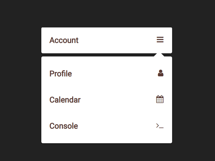 Simple Dropdown List in JavaScript — CodeHim