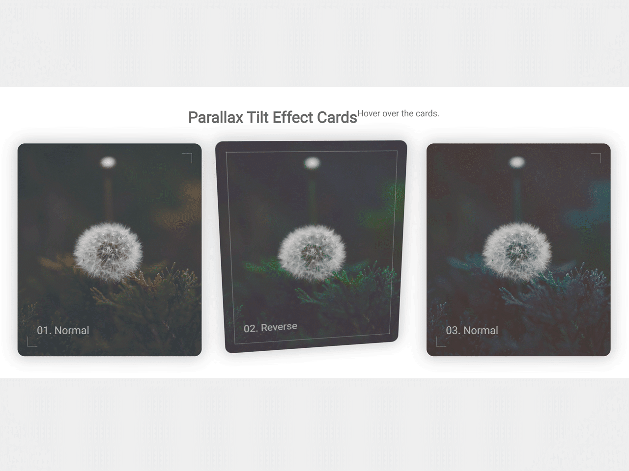 JavaScript Parallax Tilt Effect Cards on Hover — CodeHim