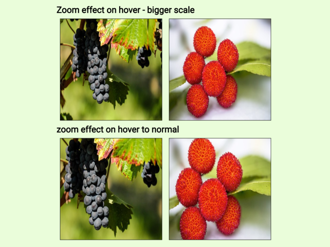 CSS Image Zoom On Hover Inside a div — CodeHim