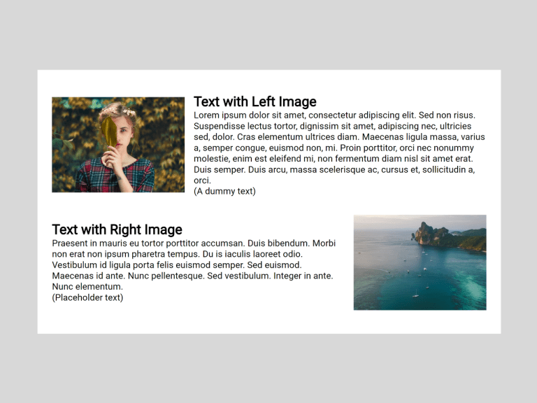 Image and Text Side By Side HTML CSS — CodeHim