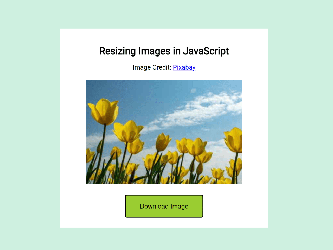 Resize Image JavaScript Using Canvas — CodeHim