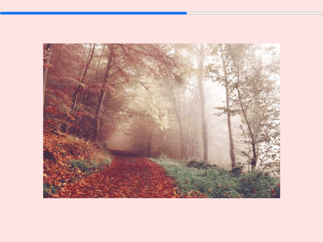 Scroll Progress Bar in JavaScript — CodeHim