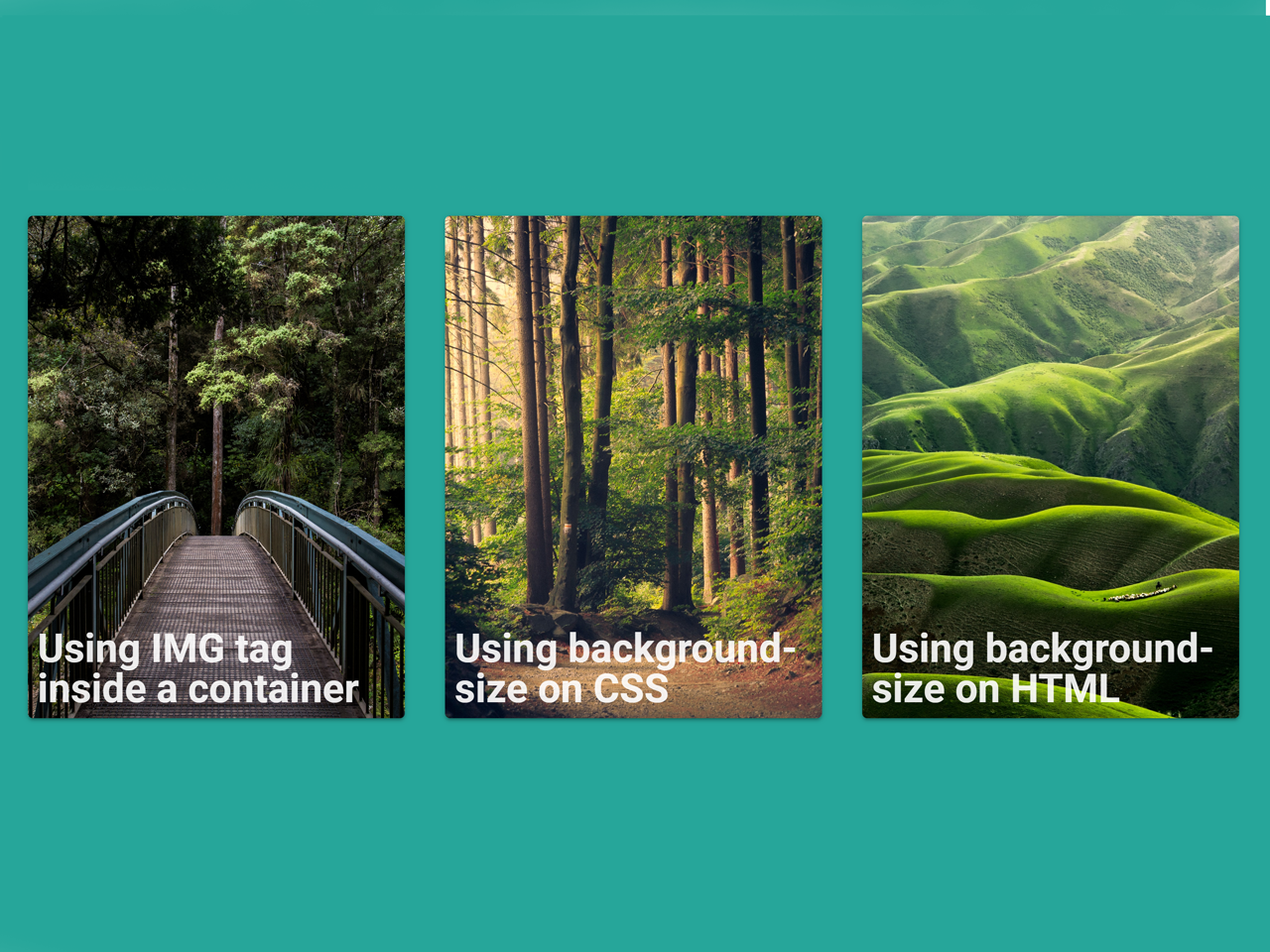 Cards With Background Image CSS — CodePel