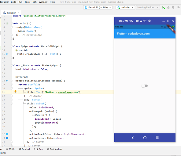 Flutter Switch Example Codeplayon