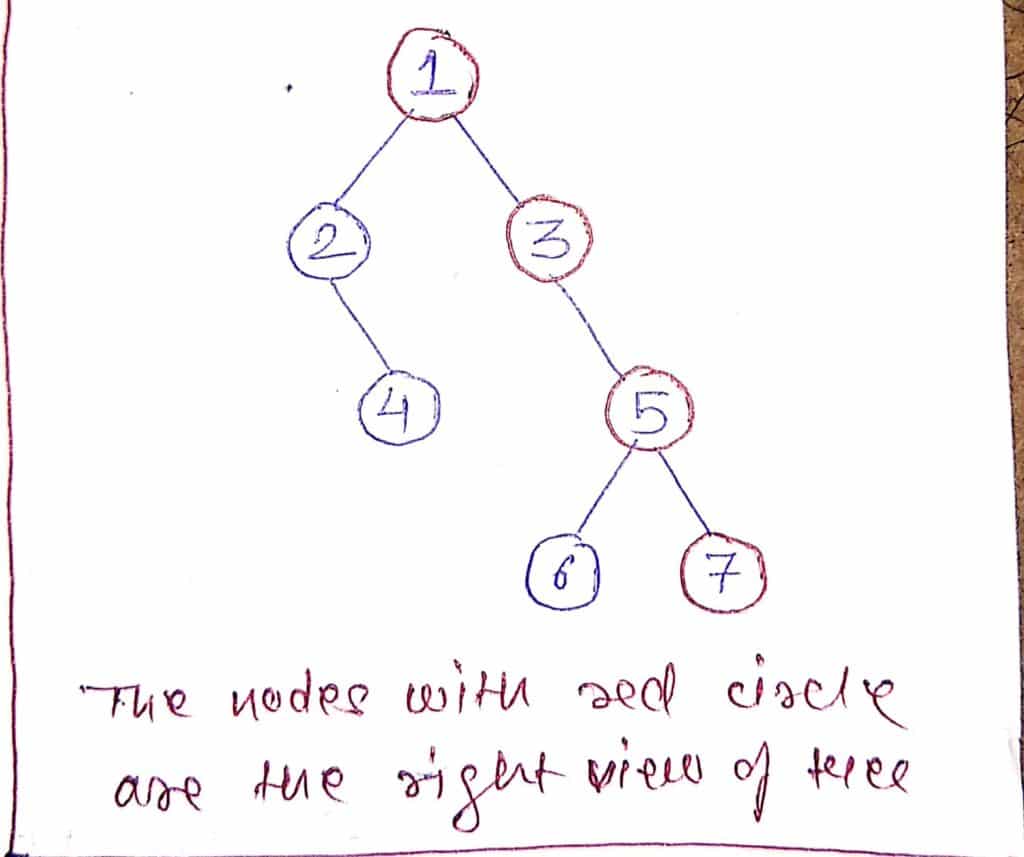 Print Right View of a Binary Tree in Java CodeSpeedy