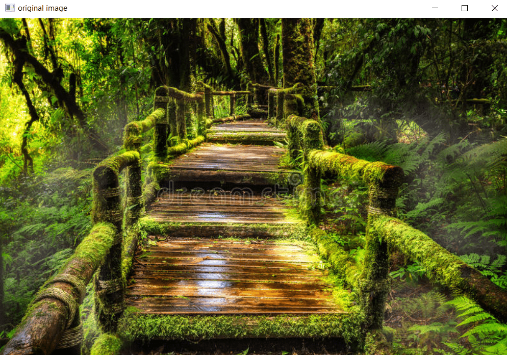 How to sharpen an image in Python using OpenCV CodeSpeedy