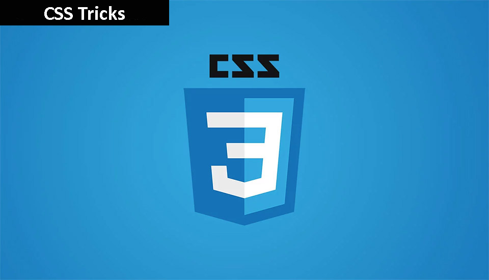 CSS Tricks Create Custom Dropdown with Button CodeSpot