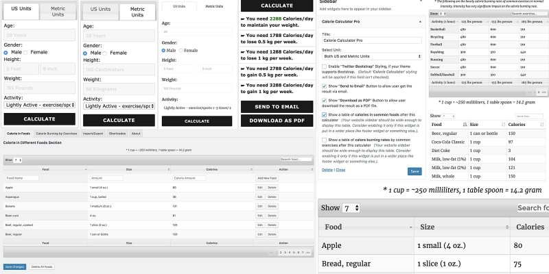 Calorie Calculator Pro WordPress Plugin by Zubaer Codester
