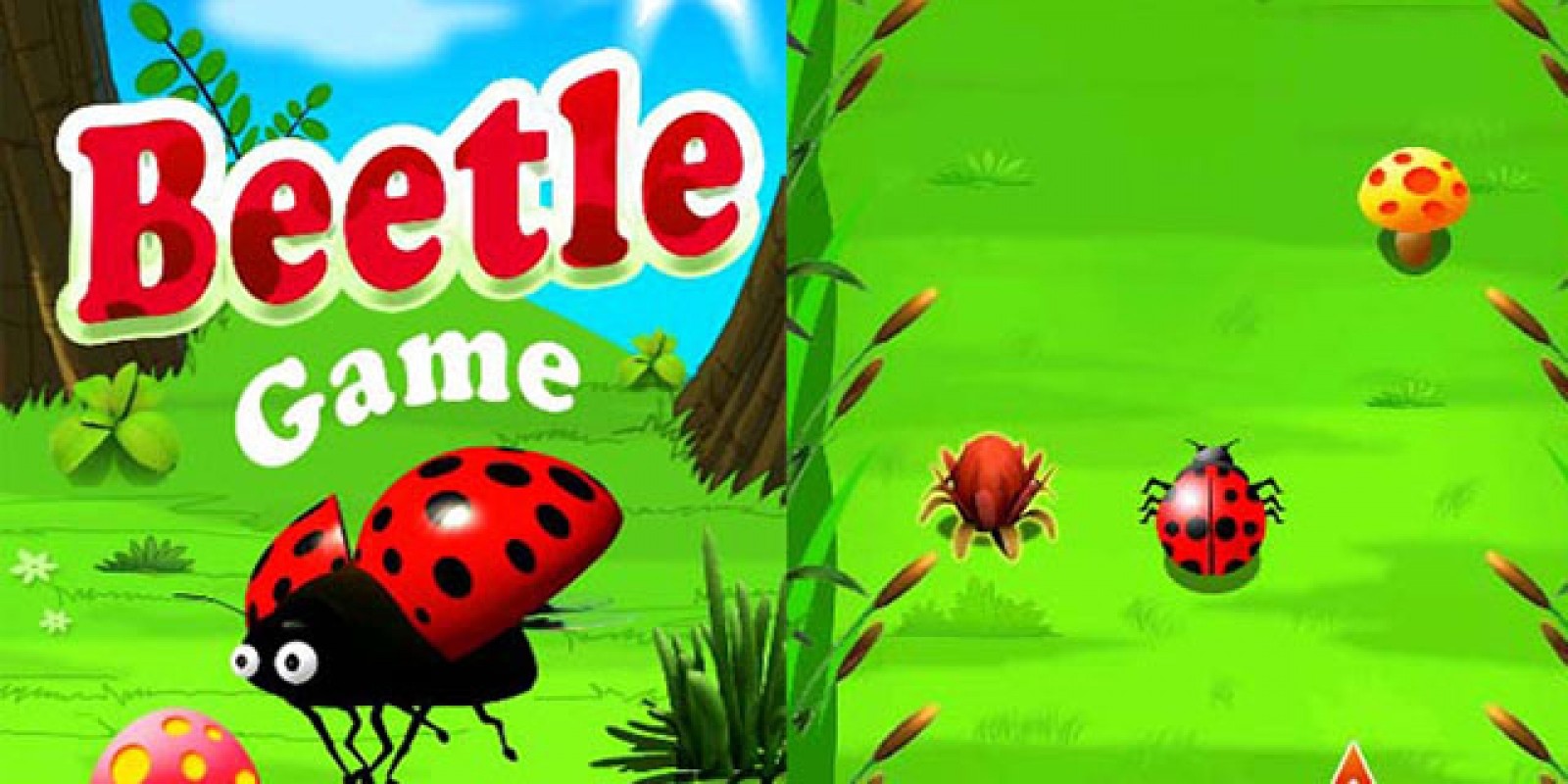Beetle Game Android Source Code Codester