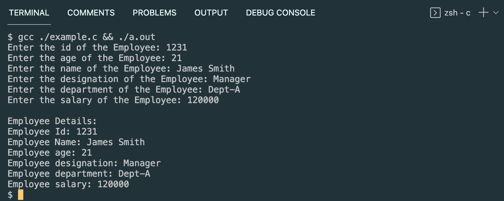 C program to store and display the details of an employee by using