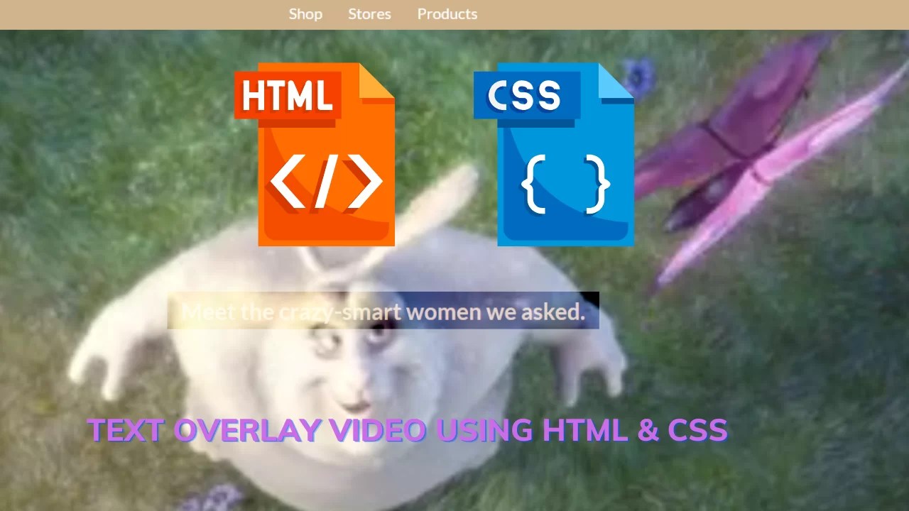 How to Add Text on Background Video in HTML and CSS