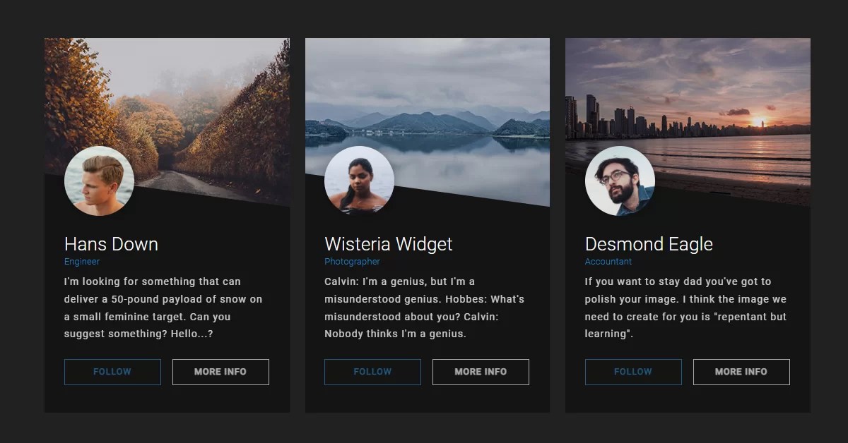 20+ CSS Profile Card Designs (2024 Update)