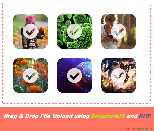 Drag And Drop File Upload Using DropzoneJS And PHP CodexWorld
