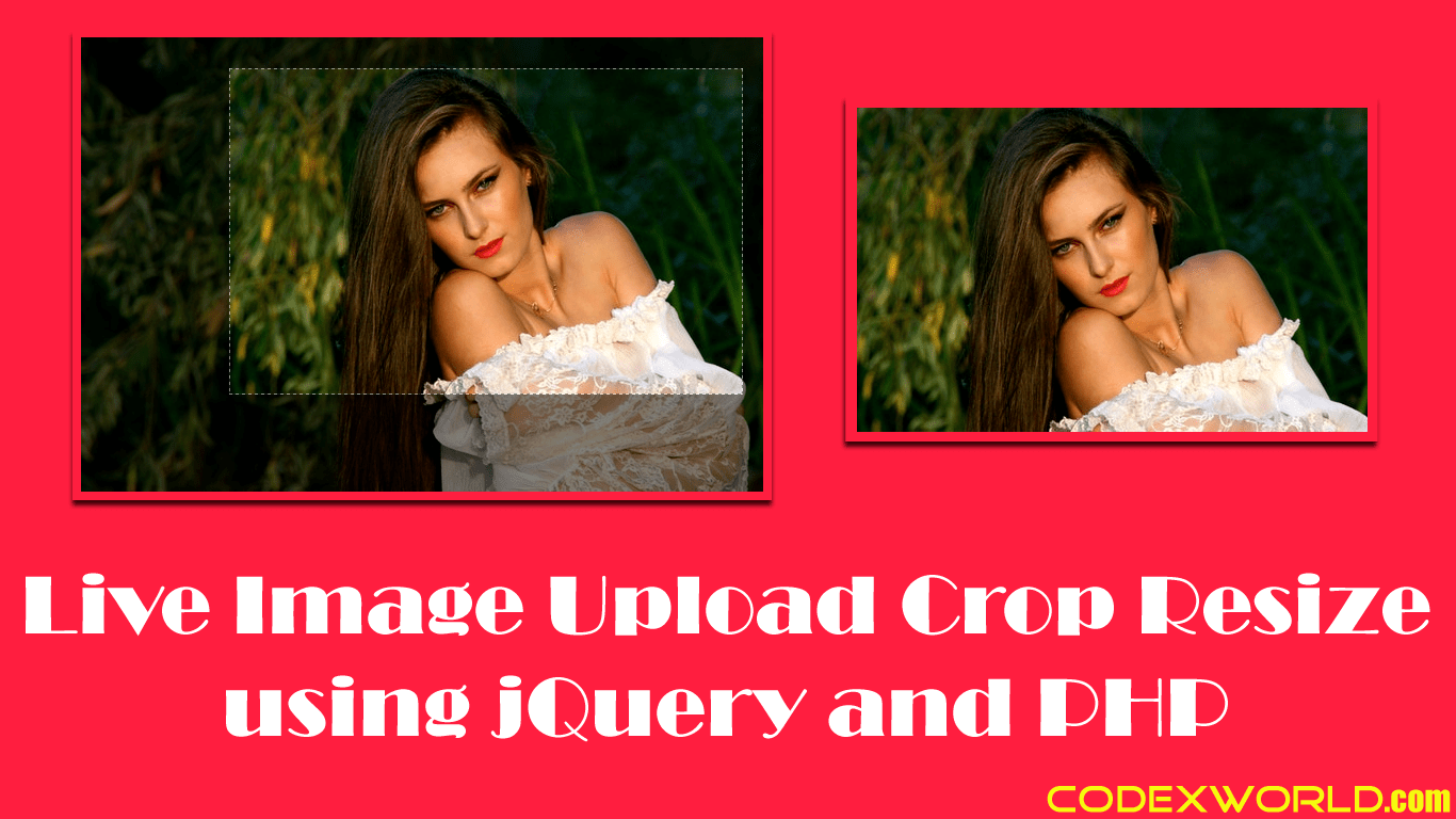 Live Image Upload, Crop and Resize using jQuery and PHP CodexWorld