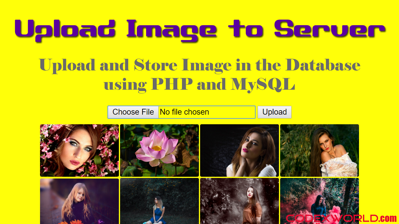 Upload and Store Image File in Database using PHP and MySQL CodexWorld
