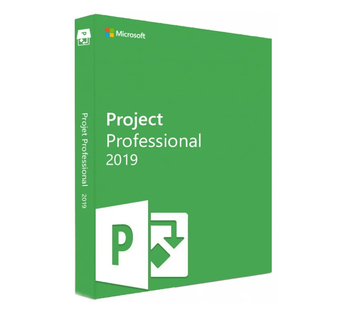 Microsoft Project 2019 Professional (PC) Codigi.es
