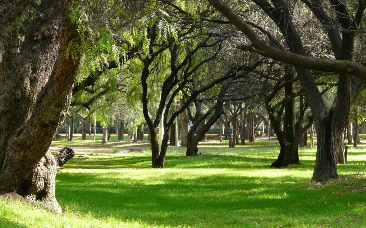 Parque Tangamanga I estará lleno de actividades durante la temporada