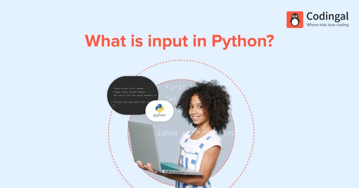 What is input in Python Codingal
