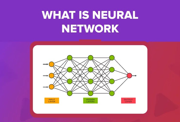 What is a Neural Network