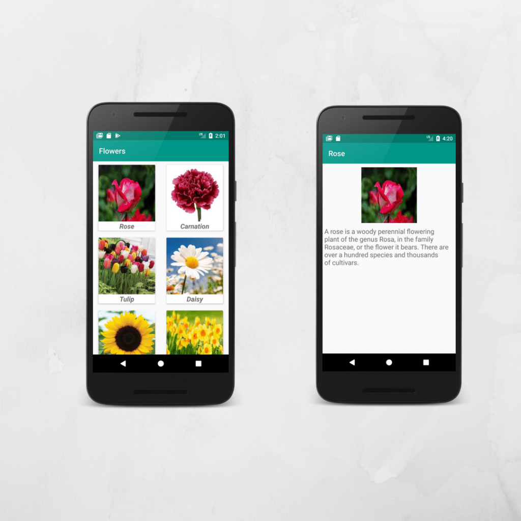Android CardView Example With Gridlayout Coding Demos