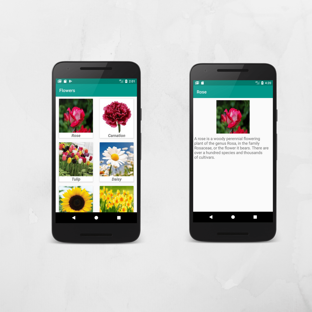 Android CardView Example With Gridlayout Coding Demos