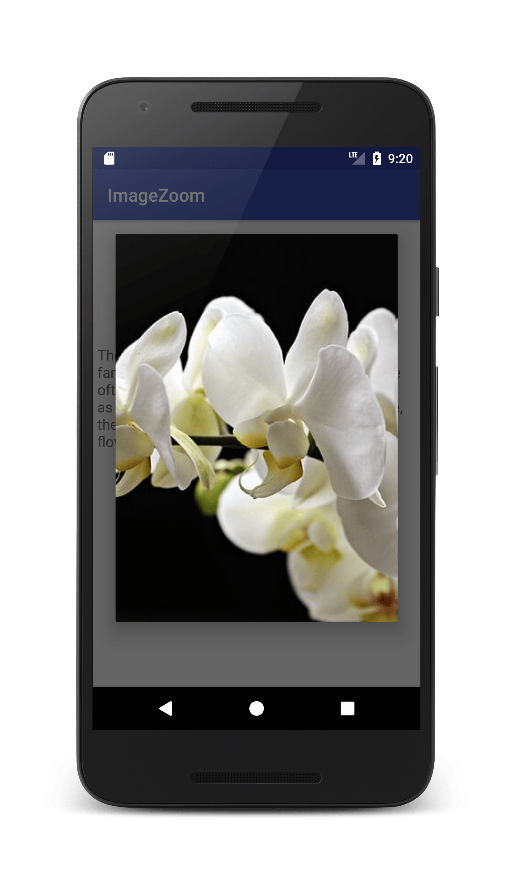 Android studio download from imageview to gallery kurtroot