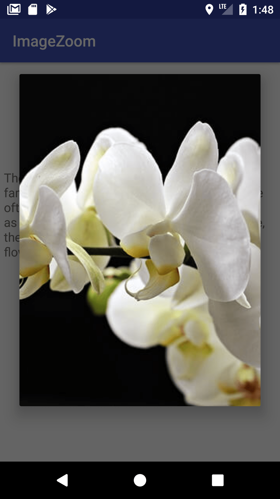 Pinch to Zoom Android ImageView Tutorial Coding Demos