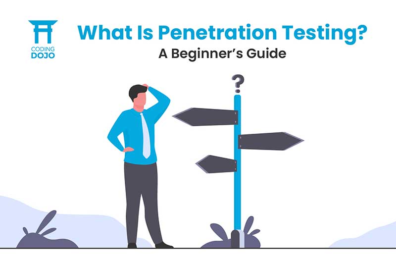 What Is Testing? A Beginner's Guide Coding Dojo