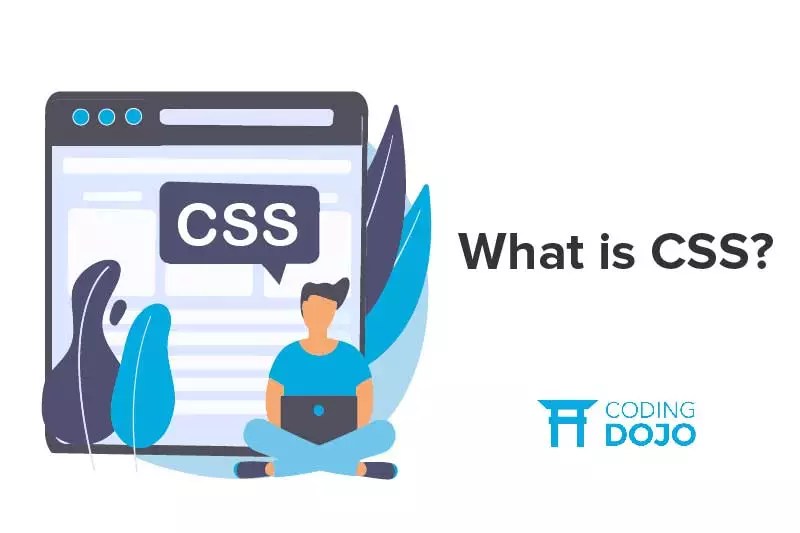 What is CSS? Coding Dojo