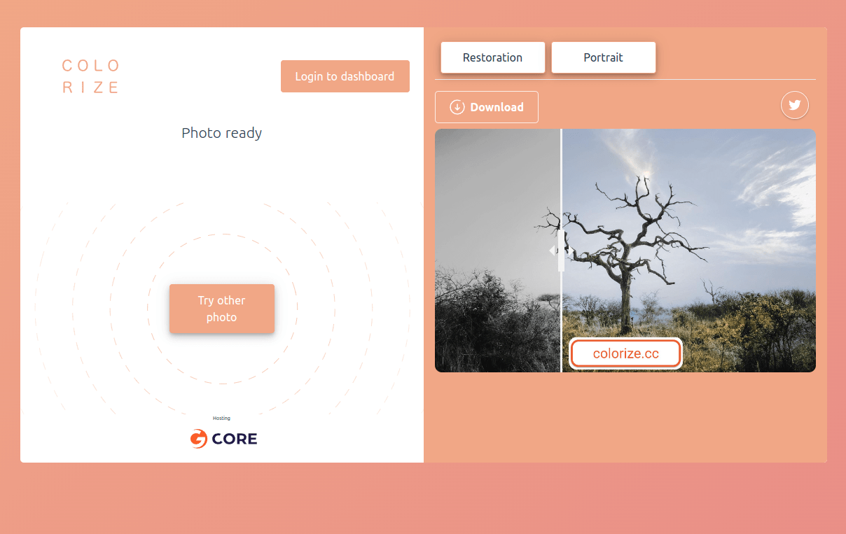 9 Best AI Colorizers of 2023 — Colorize Black & White Images