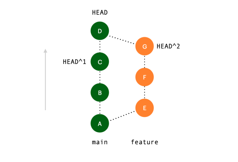 What Is the HEAD in Git A Complete Guide (with Examples)